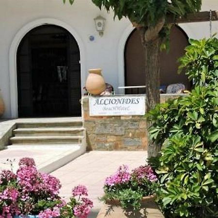 Alkyonides Beach Hotel Малія Екстер'єр фото